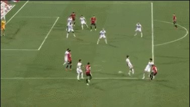 1667828467003070427.gif 4.gif